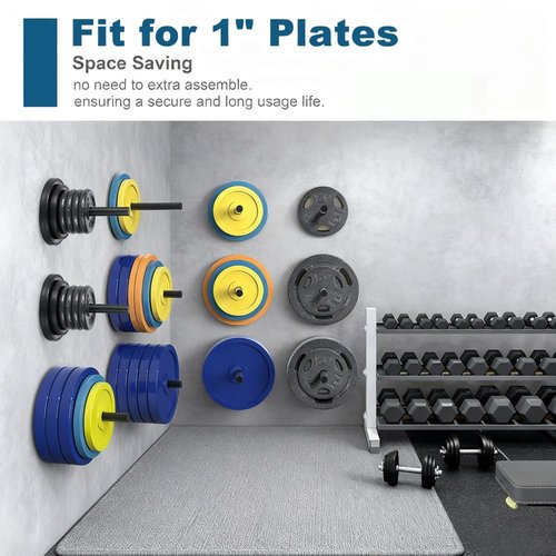 2 Pack Wall Mounted Weight Plate Holder for 1" Weight Plates, Steel Bumper Plate Storage Rack with Screws and Thick Pad, Space Saving Holder for Home Gym,Max Weight Capacity 300 LBS