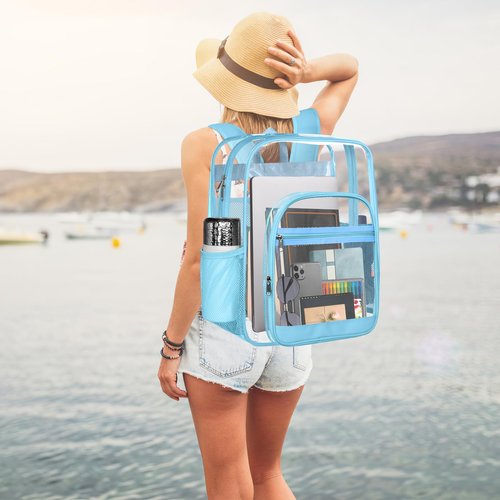 SDFGHG Clear Backpack,Sturdy Shape Heavy Duty Large Clear Backpack,Casual Daypacks(Blue)