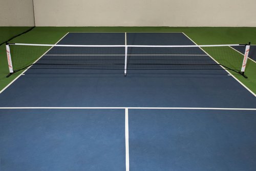Rally Pickleball Net, Portable Net System, Indoor/Outdoor, Pickleball Training Aids, Regulation Size, Alloy Steel Frame, Net and Carry Bag (Deluxe)