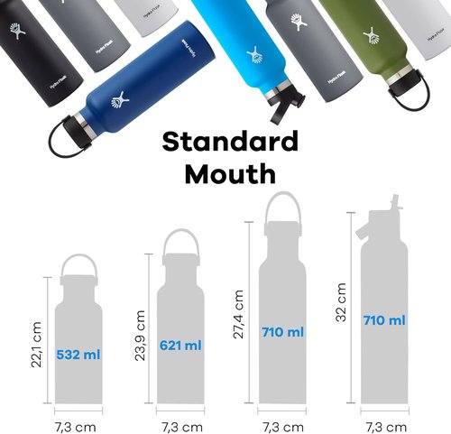 Hydro Flask Water Bottle - Insulated Stainless Steel - Leakproof & Non-Spill | 21 Oz Stone