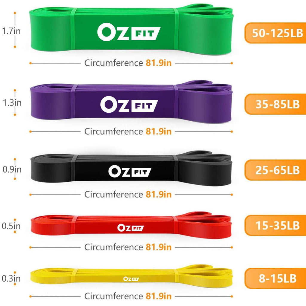 OZFIT Resistance Bands Set, Exercise Bands for Working Out, Pull Up Assistance Bands Workout Equipment for Home Gym, Physical Therapy Bands for Stretching & Muscle Training