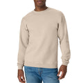 Hanes EcoSmart Fleece Sweatshirt for Women – Sand, Size Large, 1–2 Pack