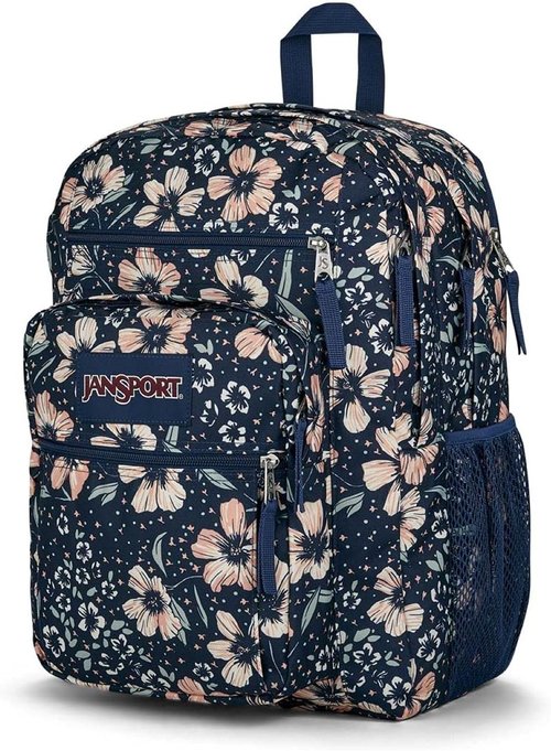 JanSport Laptop Backpack - Ergonomic Computer Bag with 2 Compartments & 15” Sleeve | Fields of Paradise