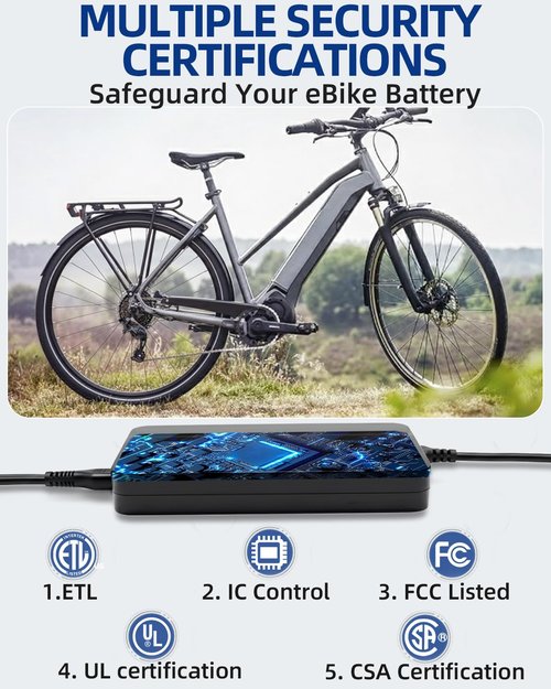 42V 2A Fast Battery Smart Charger for Bosch Electric Ebike 36V Lithium Battery, Compatible with Bosch Electric Bike Performance Line, Active Line & CX Models, Compact Design, SGS Certified