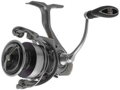 Daiwa EXCELER 3000 LT Spin Reel, 5BB + 1, 5.3 : 1