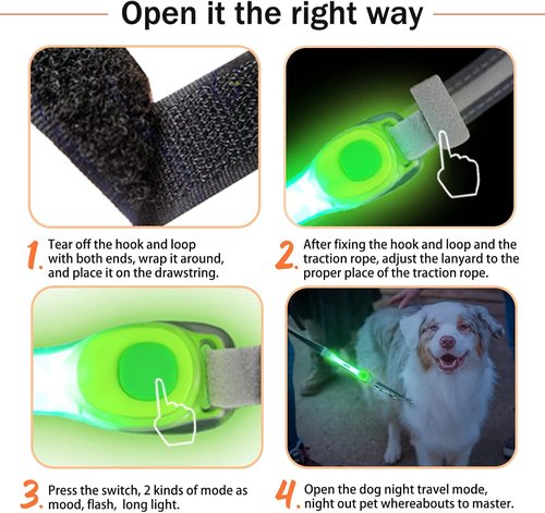 LaRoo Dog Collar Light - LED Safety Lights for Night Walking | Universal Fit for Leash & Harness (Green)