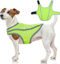 FUAMEY Dog Reflective Vest - High-Visibility Safety Gear for Small Dogs | Water-Resistant, Adjustable, Neon Green XS