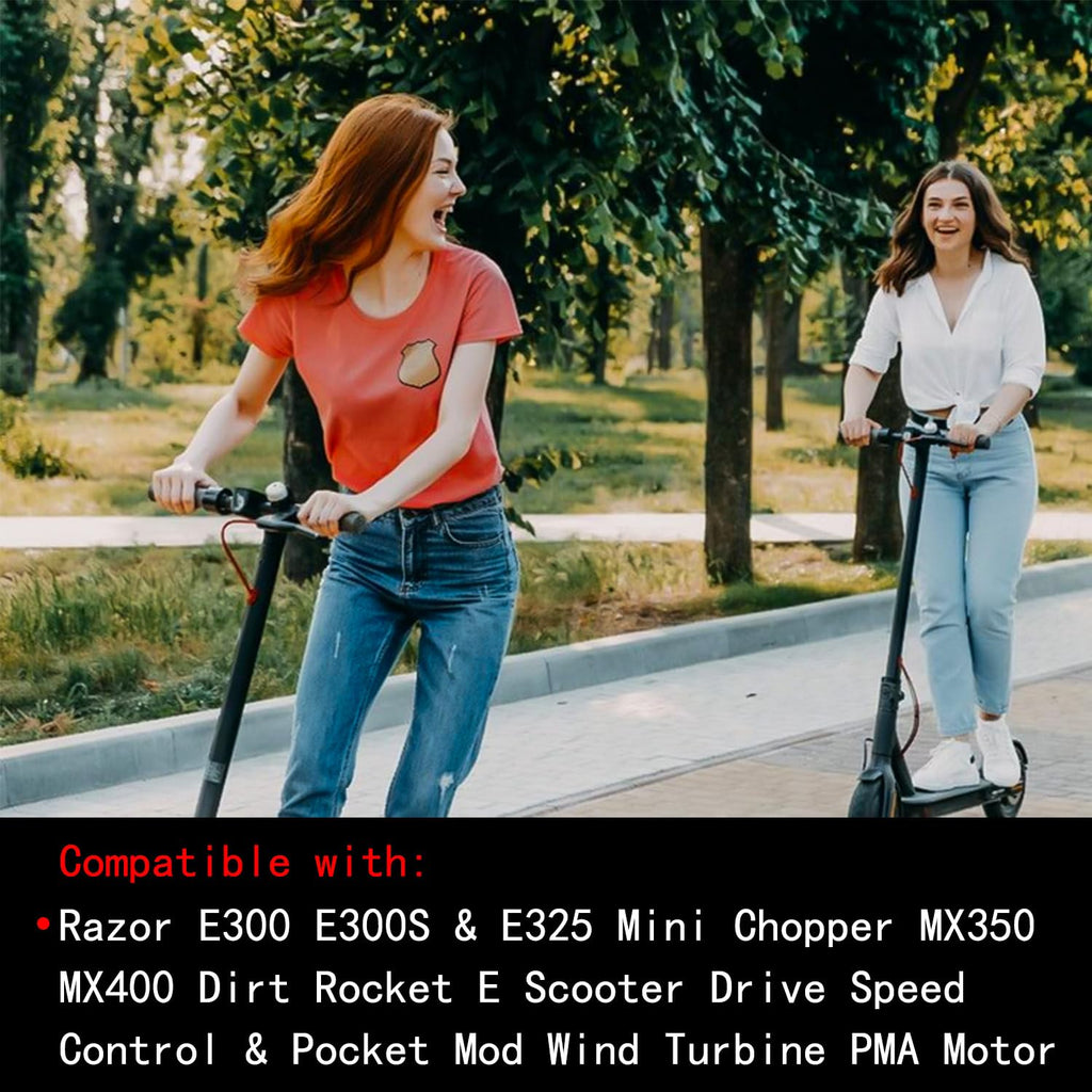 RANSOTO Electric Scooter Motor Compatible with E Scooter Drive Speed Control Razor E300 E300S E325 MX350 MX400 Wind Turbine PMA Brushed Permanent Magnet Alternator 24V 350W