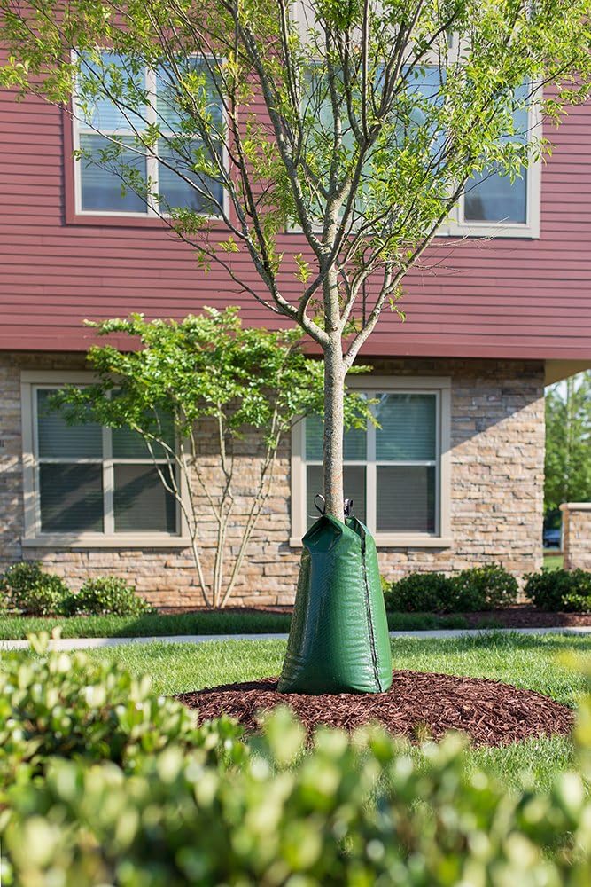 Treegator Original Watering Bag - Slow Release Design for Trees | Fits 1-8 Inch Trunk Diameter, Green