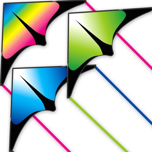 Delta Kite - Easy to Fly for Kids & Adults | Perfect for Family Outings & Outdoor Fun