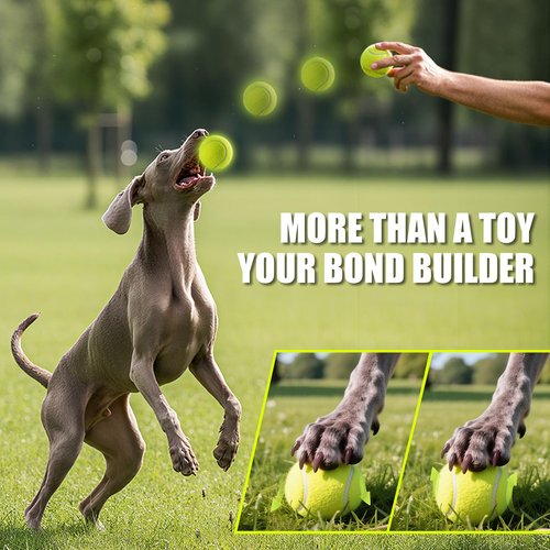 PHOEPET 6-Pack Tennis Balls for Dogs, Bulk Rubber Ball for Fetch Chew Toys Beginner Training Practice(Yellow)