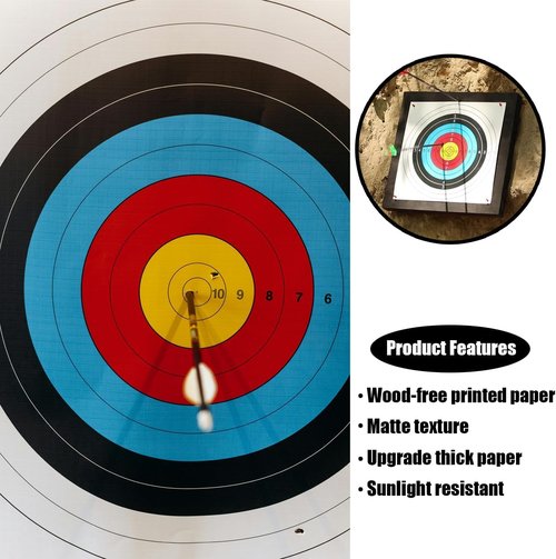 Archery Target - 10 Ring Bow and Arrow Target for Hunting | 16x16 Inch Durable Design