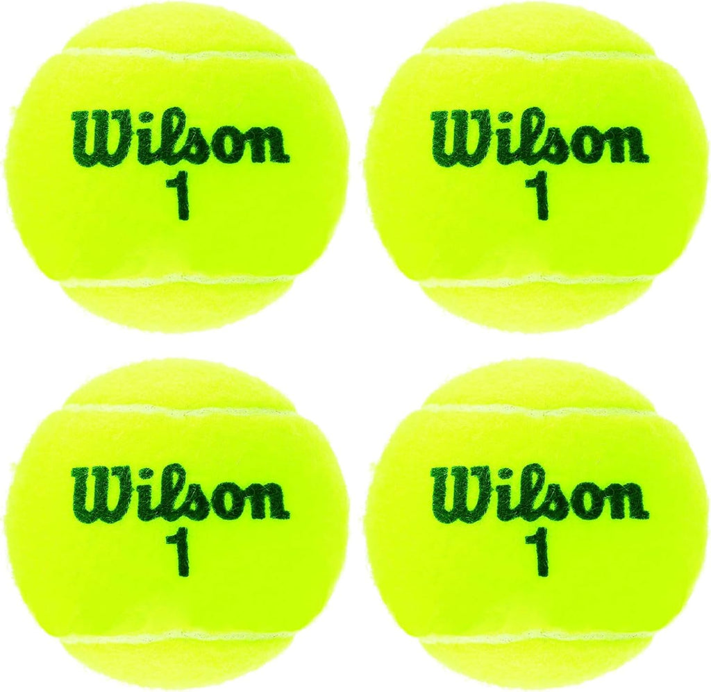 Wilson Championship Tennis Balls - High-Performance, Durable, Official Tournament Size | 3-Pack