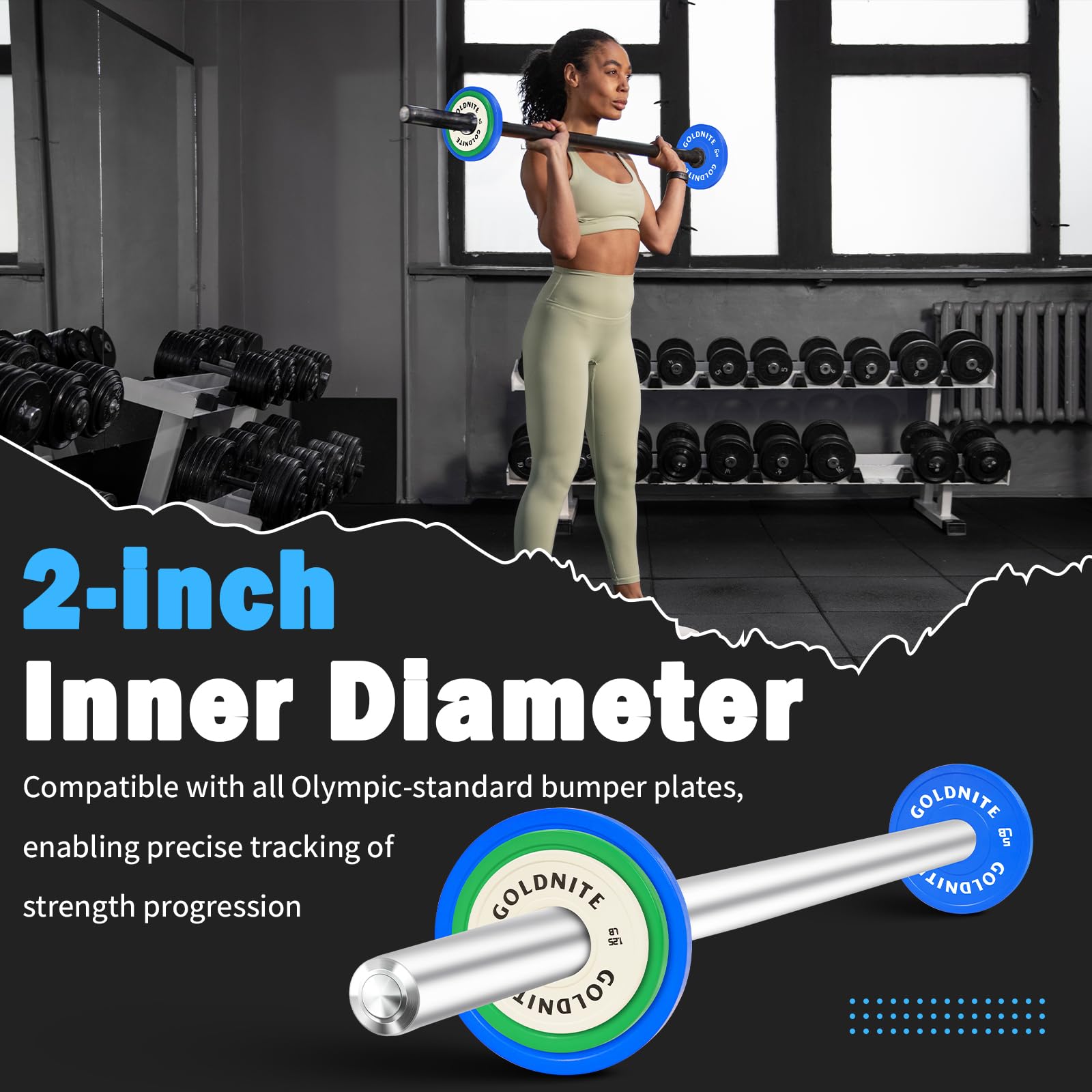 GOLDNITE Fractional Micro Weight Plates Set of 8 Weight Plate Micro Plates 0.25LB 0.5LB 0.75LB 1 LB for Olympic Barbells for Strength Training Micro Plates Weight Plate
