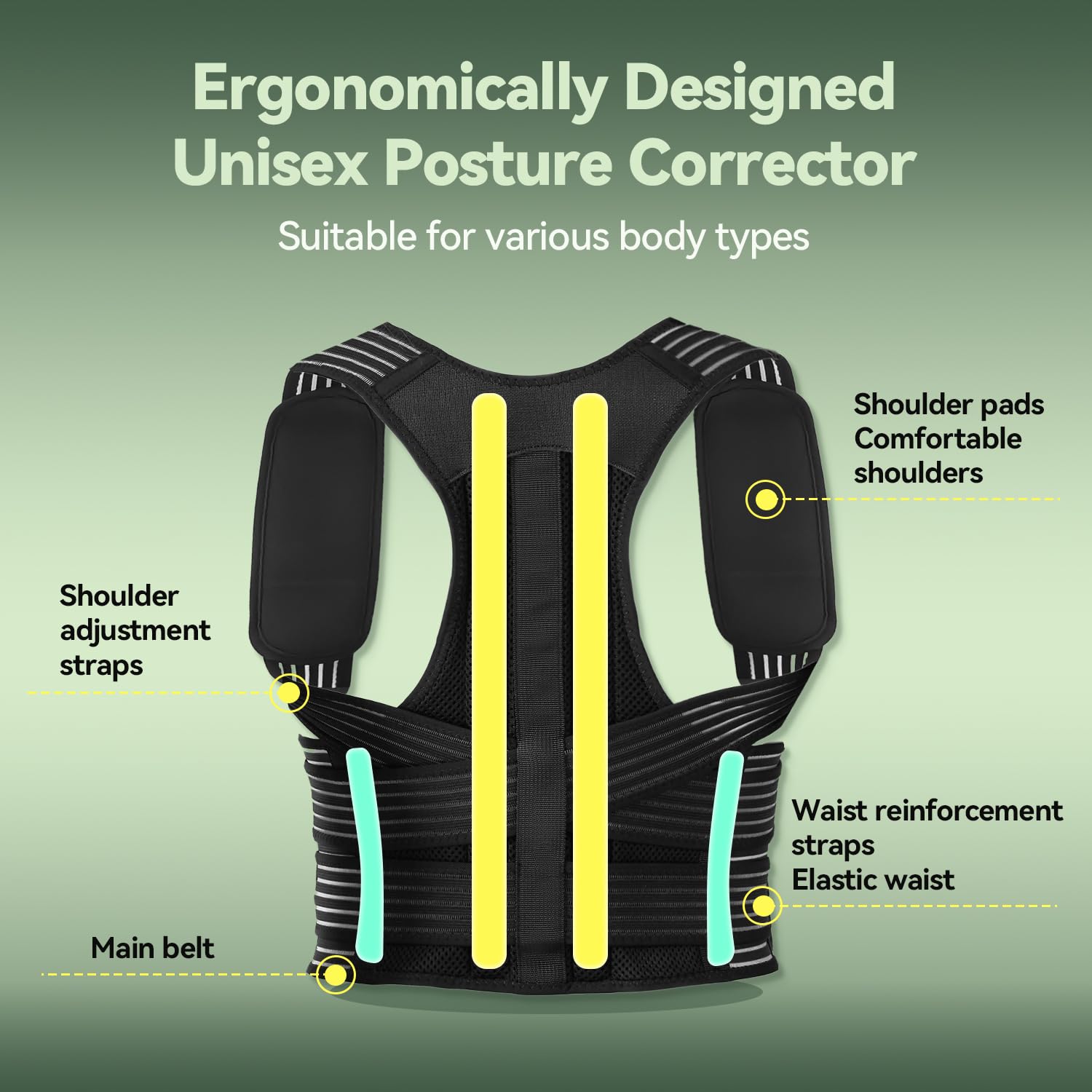 Skiennix Back Brace - Adjustable Posture Corrector for Pain Relief | Breathable 4-Point Support System, Medium