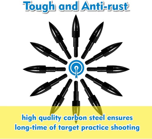 12pcs Archery Arrow Tips 100/125/150/200 Grain Field Tips 5/16 Inch Screw in Bullet Points , Archery Target Crossbow Practice Tip for Arrow Recurve Bow Compound Bow, Hunting Bow Arrow Target Practice