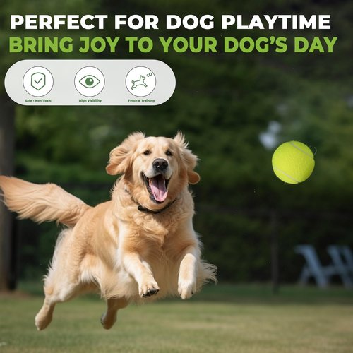 INSUM 60 Pack Bulk Tennis Balls – High Elasticity Practice Tennis Balls with Mesh Bags, Portable for Pet Dog Outdoor Playing, Training, Fetching