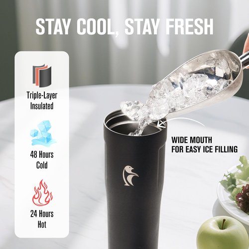 Coolflask Water Bottle 32 Oz - Slim Stainless Steel Tumbler with Straw & Handle | Leakproof for Travel & Gym, Black