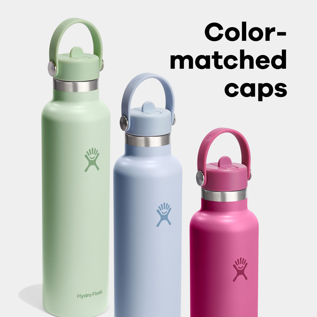 Hydro Flask Water Bottle - Insulated Stainless Steel - Straw Lid, Non Spill, Leakproof 24 Oz Botanical Bliss Green