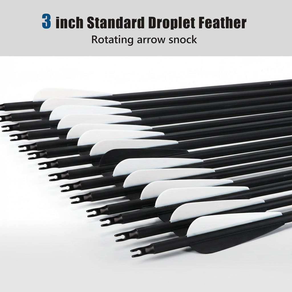 NorthSpoor 30Inch 14Pcs Carbon Arrow with Removable Tips Shaft Spine 500 for Both Compound Bow and Recurve Bows