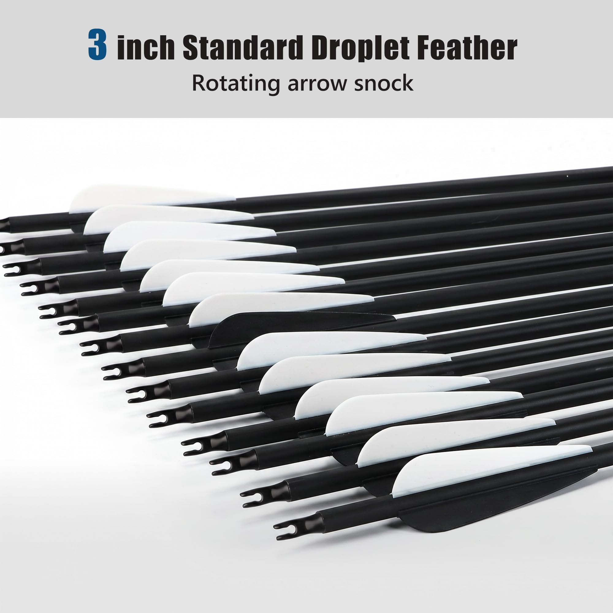 NorthSpoor 30Inch 14Pcs Carbon Arrow with Removable Tips Shaft Spine 500 for Both Compound Bow and Recurve Bows