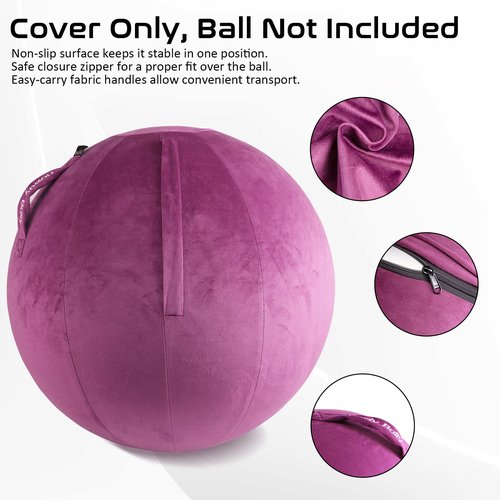 Howdy Bally Protective Cover for Home-Use Yoga/Exercise/Balance Ball with Convenient Carry Handles - Foldable, Durable Anti-Burst Cover for Sitting Ball Chair, Office Use - 55cm
