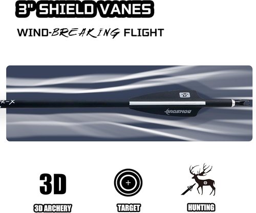 31Inch Carbon Arrows for Target Practice Hunting Arrow with Removable Tips for Compound & Recurve Bow(Pack of 12)
