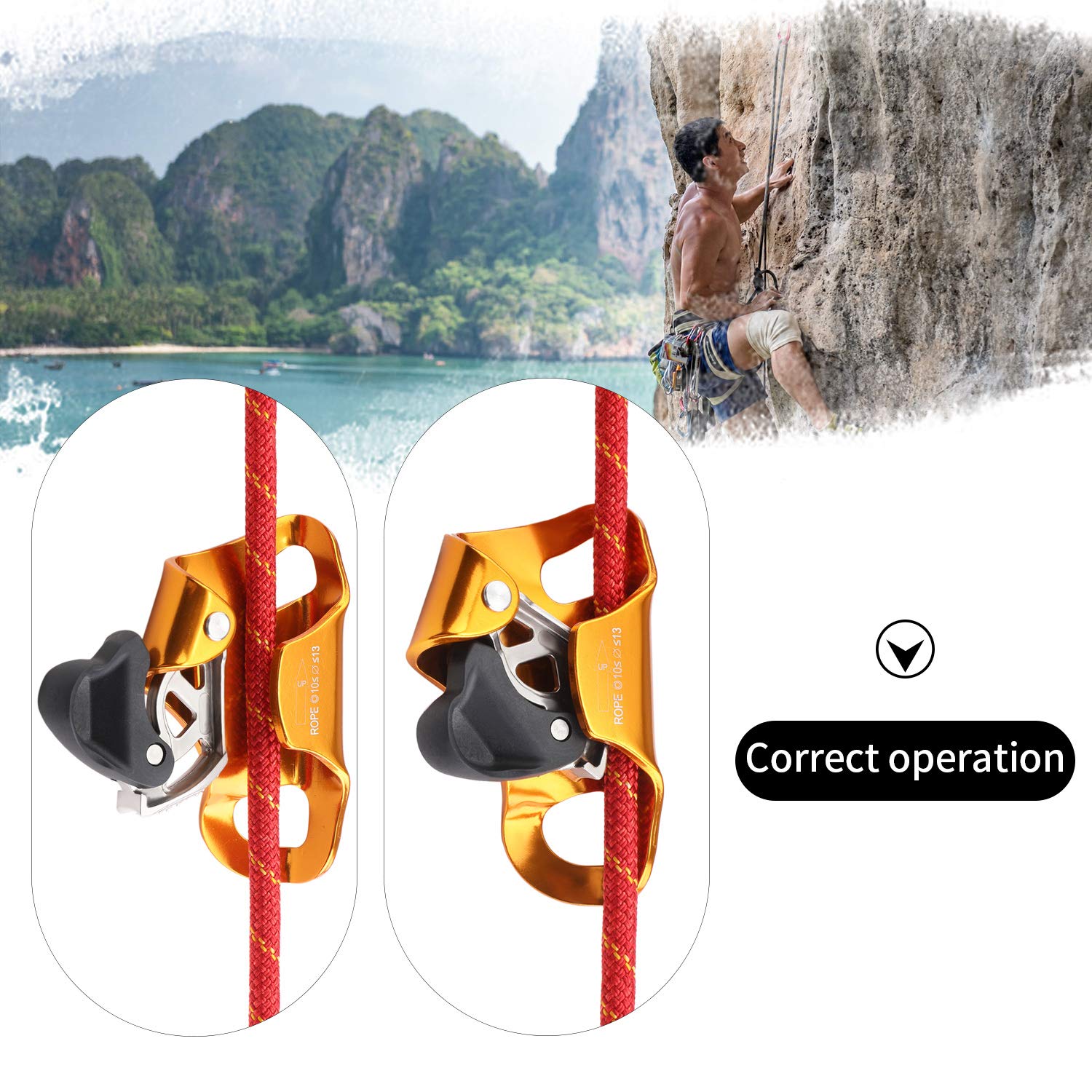 WILDKEN Rock Climbing Chest Ascender Climbing Mountaineering Tree Arborist Climbing Rappelling Equip for 10-13mm Rope