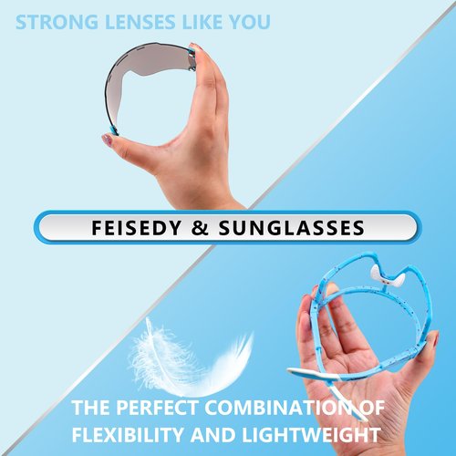 FEISEDY Cycling Sports Sunglasses Wraparound Magnetic Lens Adjustable Legs Visor Men Women Youth Shield B0028