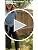 G4Free Wide Leg Yoga Pants for Women with Pockets - 31 Inch Inseam, Black, Medium