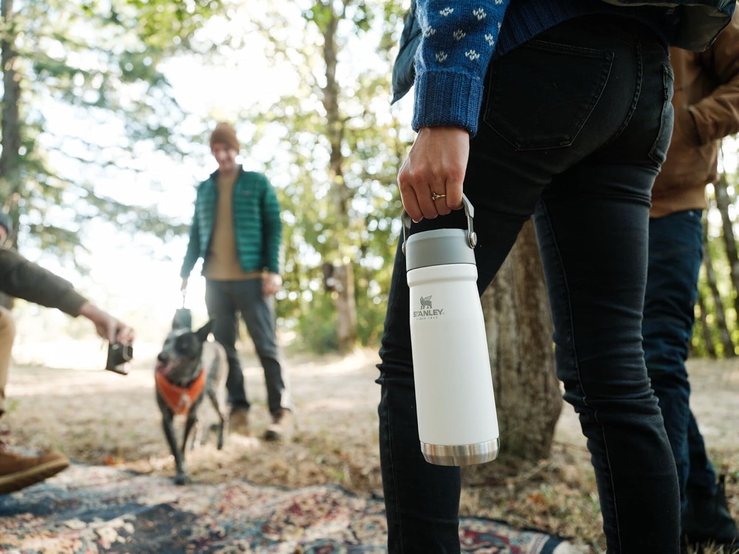 STANLEY IceFlow Water Bottle - 22 oz Insulated Stainless Steel | Built-In Straw | Lightweight & Leak Resistant | BPA-Free | Polar