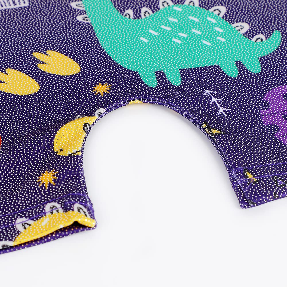 HOZIY Gymnastics Leotard Toddler Girl Dinosaur 4t 5t 4-5t Biketard Sparkly Cactus Stars Colorful Multicolored Dark Purple Sparkly Rainbow Outfits Clothing Apparel