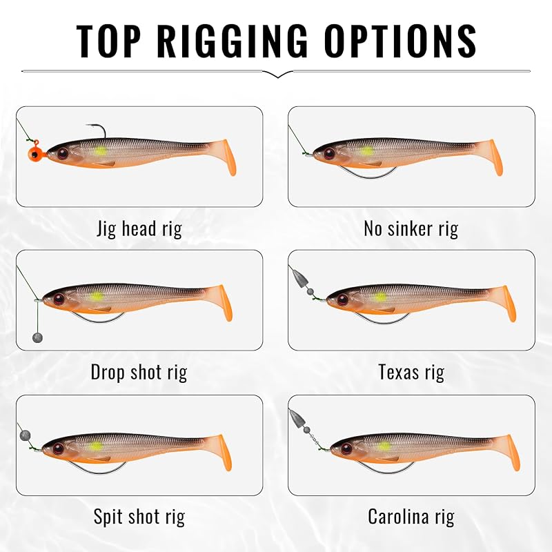 5in 12pcs 0.6oz Shadtale Easy Catch Soft Swimbaits Lures for Bass Trout Redfish (5'', 12 pcs, 0.6 oz)