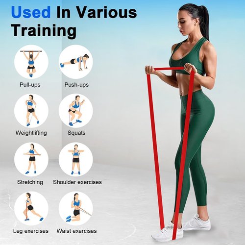 Resistance Bands, Workout Bands, Exercise Bands, Premium Natural Rubber Resistance Bands for Working Out, Pull-Up Assist Bands 5-Piece Set, for Men & Women Fitness, Muscle Training & Physical Therapy