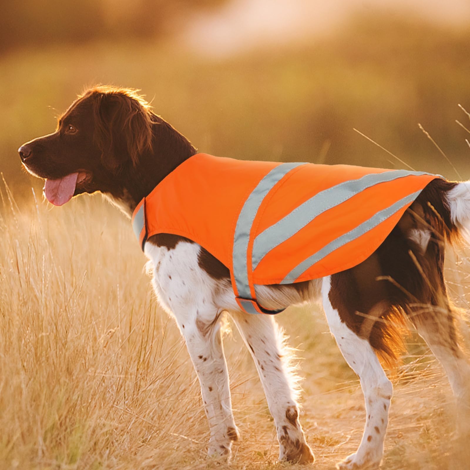 Kuoser Reflective Dog Vest, High Visibility Safety Vest for Medium to Large Dogs, Lightweight Pet Reflective Vests for Hunting Outdoor Activities Walking at Night, Blaze Orange 3XL