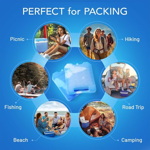 Everlasting Ice RX Large Reusable Ice Packs - BPA Free Cooler Packs with Handle (4 Pack) for Extended Cooling | Perfect for Camping, Fishing, Hiking, Beach