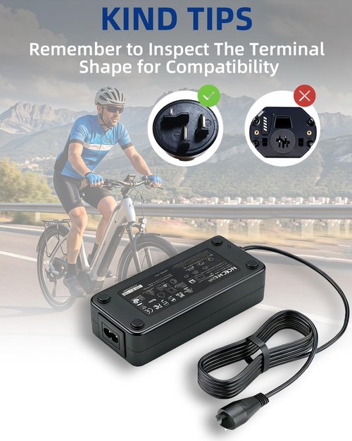 42V 2A Fast Battery Smart Charger for Bosch Electric Ebike 36V Lithium Battery, Compatible with Bosch Electric Bike Performance Line, Active Line & CX Models, Compact Design, SGS Certified