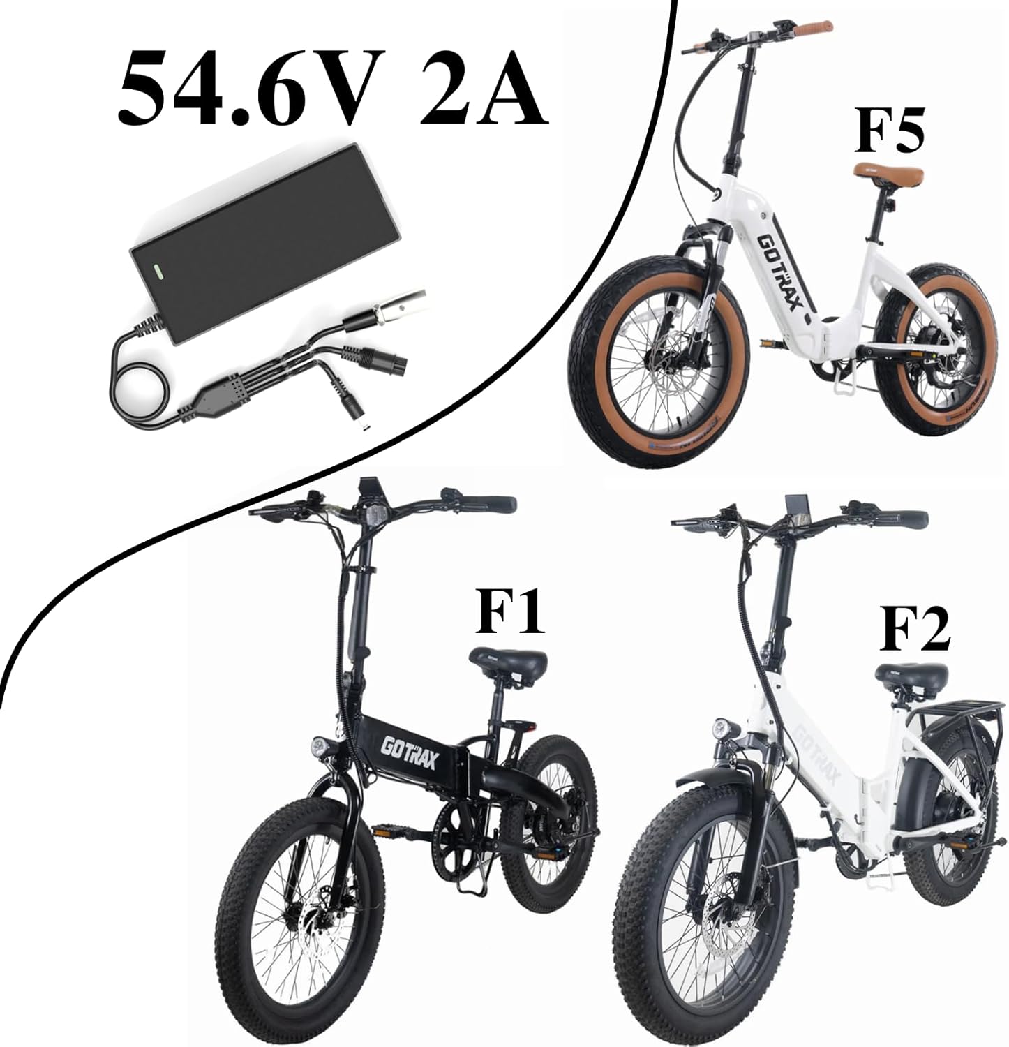 Skiennix Electric Ebike Charger - 54.6V 2A with 3 Plugs for 48V Battery | Compatible with F1, F2 Models
