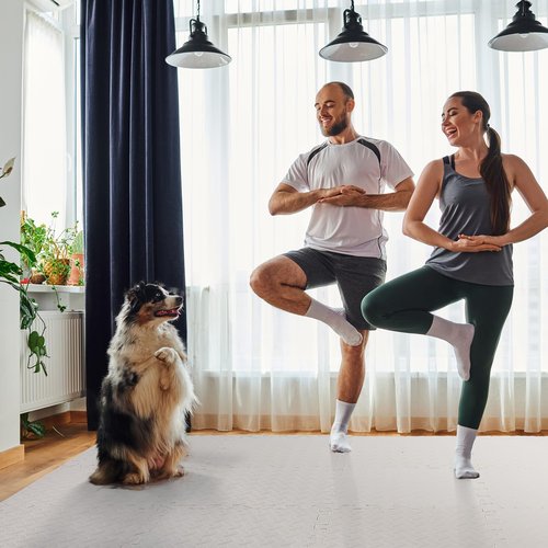Arrowbash 12x12x1 Inch EVA Thick Interlocking Foam Floor Tiles Puzzle Exercise Mat Foam Mats for Home Gym Pets(White,20)
