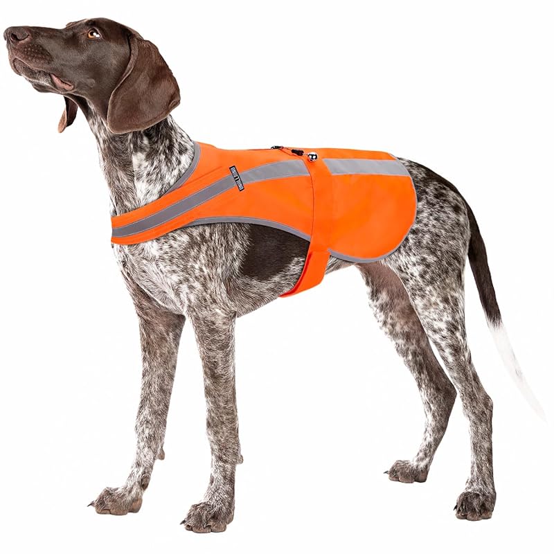 Reflective Dog Vest Blaze Orange - High Visibility Safety Harness with Removable Bell (Variation: Blaze Orange+L) for Medium to Large Breeds