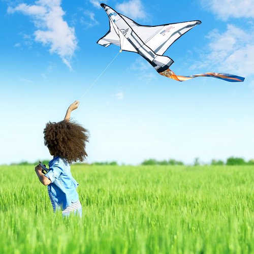 JOYIN Easy-To-Fly Kite - Large Beach Kite for Kids & Adults | Perfect for Outdoor Fun