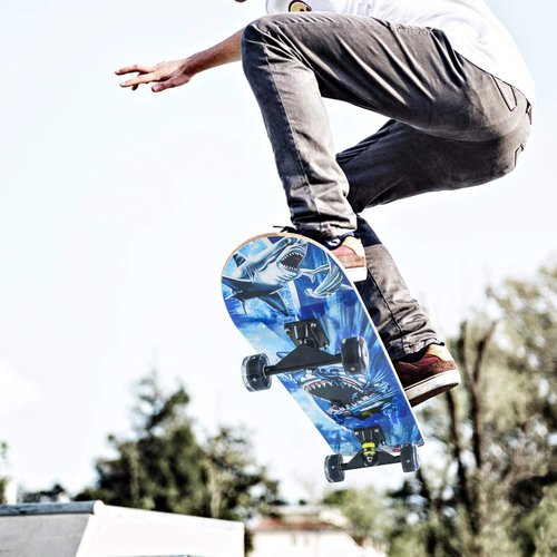 Skateboards for Beginners, 31 x 8 inch Complete Skateboard for Kids Teens Adults, 8 Layer Maple Double Kick Deck Concave Cruiser Trick Skateboard with Multifunction Skate (Shark)