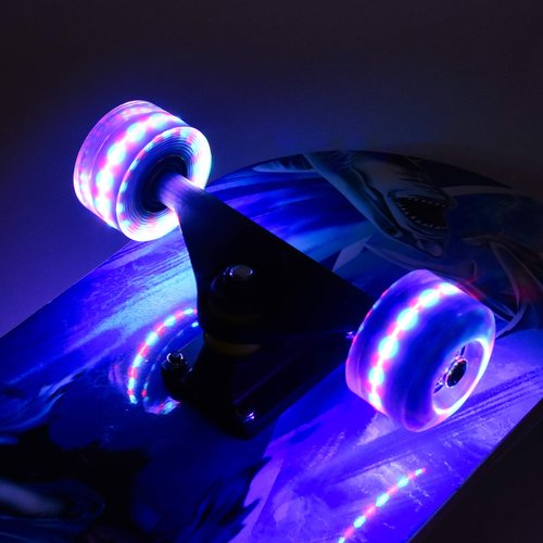 Skateboards for Beginners, 31 x 8 inch Complete Skateboard for Kids Teens Adults, 8 Layer Maple Double Kick Deck Concave Cruiser Trick Skateboard with Multifunction Skate (Shark)