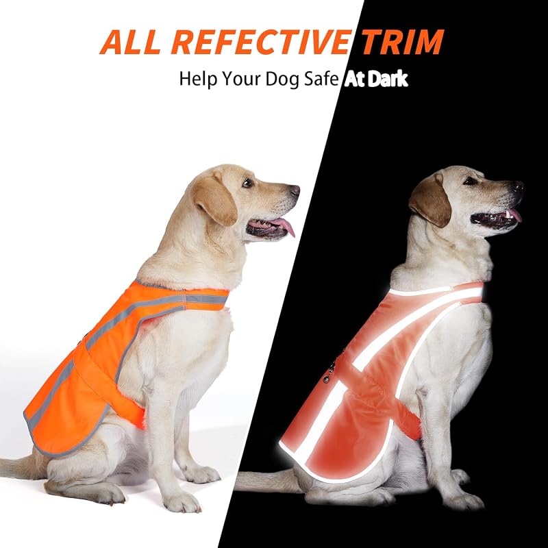 Reflective Dog Vest Blaze Orange - High Visibility Safety Harness with Removable Bell (Variation: Blaze Orange+L) for Medium to Large Breeds