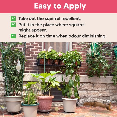 AUDQQM Squirrel Repellent Outdoor, Chipmunk Repellent, Peppermint Deterrent to Keep Squirrels & Chipmunks Away, Suitable for Garden, Yard, Attic, Lasting 60 Days-10 Packs