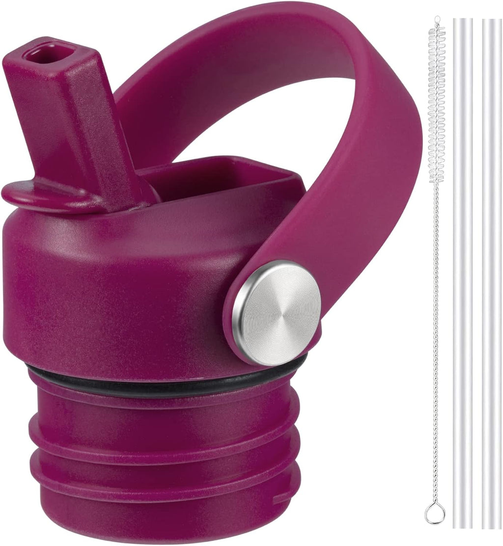 Regine Switzerland Straw Lid for Hydro Flask Standard Mouth - Fits 21/24 oz Water Bottles