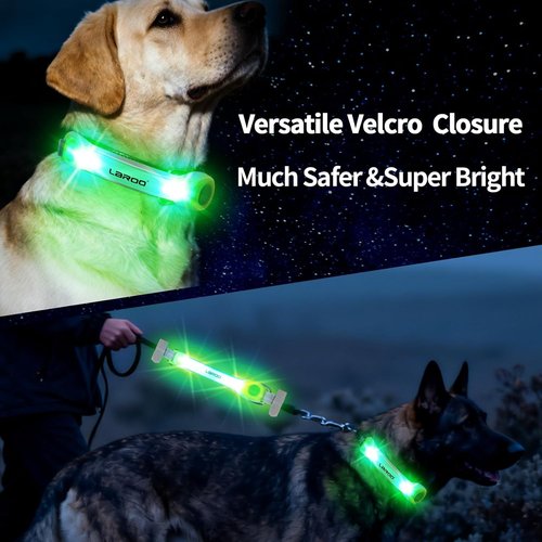 LaRoo Dog Collar Light - LED Safety Lights for Night Walking | Universal Fit for Leash & Harness (Green)
