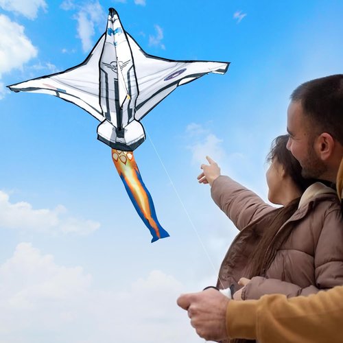JOYIN Easy-To-Fly Kite - Large Beach Kite for Kids & Adults | Perfect for Outdoor Fun