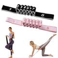 Resistance Bands, Resistance Bands with Handles, Resistance Bands for Working Out, Adjustable Bands for Full Body Stretching Shaping (Gray + Pink)