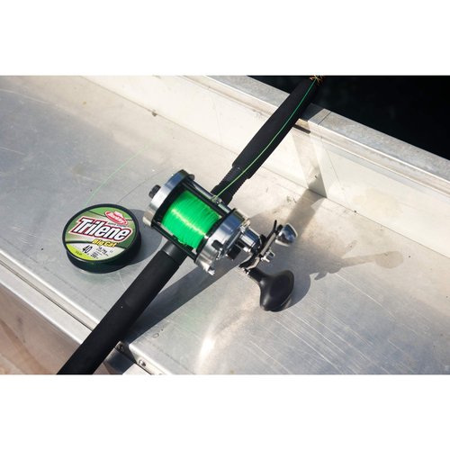 Berkley Trilene Big Cat,Solar-220-Yard/30-Pound,30 lb./220 yd.